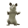 mouse